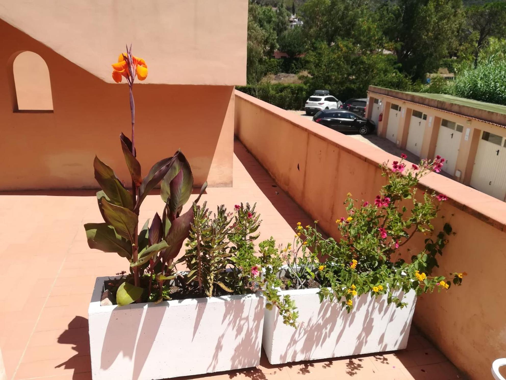 Elbamare Residence Con Piscina Nisporto Kültér fotó